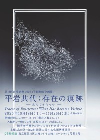 平岩共代：存在の痕跡 ‐見えてきたもの‐　Traces of Existence:What Has Become Visible