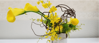 児玉弥生/Yayoi Kodama