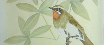 志村嗣生/Tsuguo Shimura