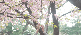 八木 香保里/Kahori Yagi