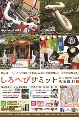 旧蛇窪村伝承ステージ in しろへびサミットチラシ画像